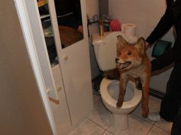 2012_01_07_Soiree_Depart